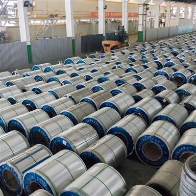 Galvanized Sheet and Coil